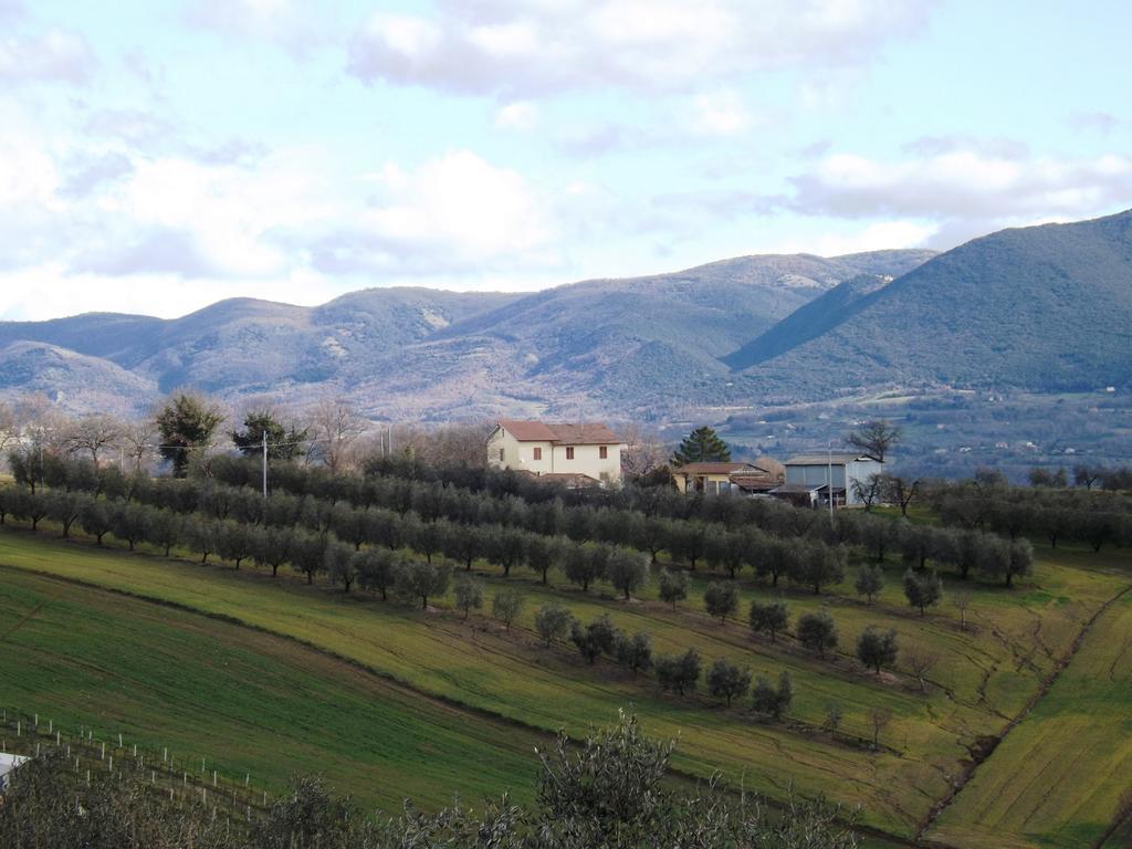 Alloggio per agriturismo Marco & Andrea *
